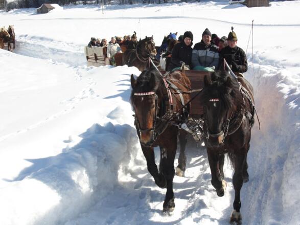 Pferdeschlittenfahrt in Gosau am Dachstein