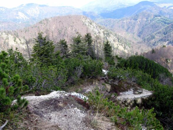 Hier ist etwas Trittsichericherheit und Schwindelfreiheit gefordert. Die Passage des Steiges kurz unter den Gipfel ist etwas abschüssig.