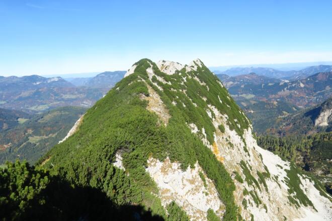 Zu Beginn heftiges Latschenintermezzo, aber nur ca. 30-40m, danach sehe ich immer mal latschenfreie Zonen. Das sieht einfacher aus als es ist