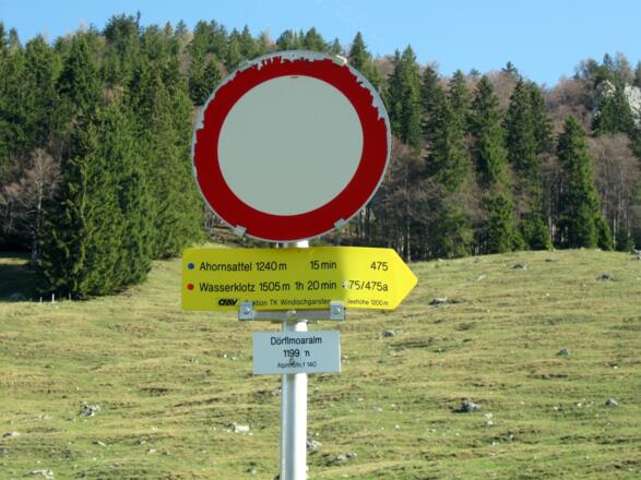 Dieser Wegweiser bei der Dörflmoaralm zeigt den weiteren Weg.