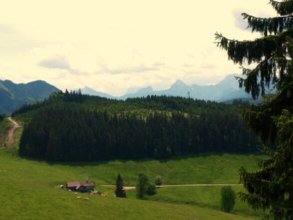 Anlaufalm mit Kl. Buchstein vom Hochkogelanstieg