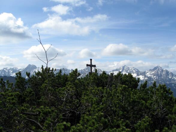 Ankunft am Gipfel des Wasserklotz.. Im Hintergrund das imposante Panorama der Haller Mauern.