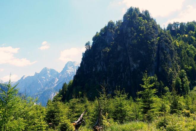 Ameisstein von Norden Almsee Landesstraße