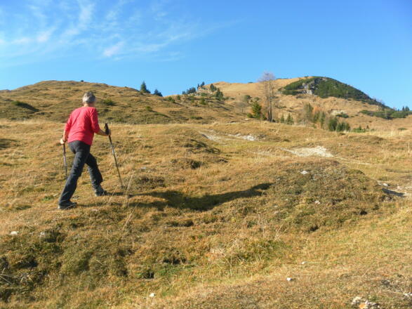 oberhalb der Seewaldhütte