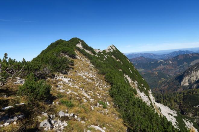 Hier zum Beispiel, eine breite Wiesengasse