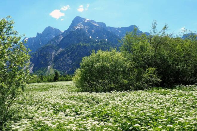Elfer- und Zwölferkogel vom Seehaus