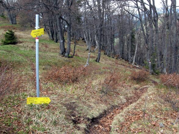 Nach Überschreitung des Gipfels in westlicher Richtung erreicht man diesen flachen Sattel und benutzt die Abzweigung nach rechts.