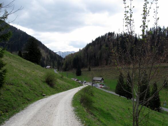 Und schließlich gelangt man über die Kreuzau wieder zurück zum Ausgangspunkt Zickerreith.