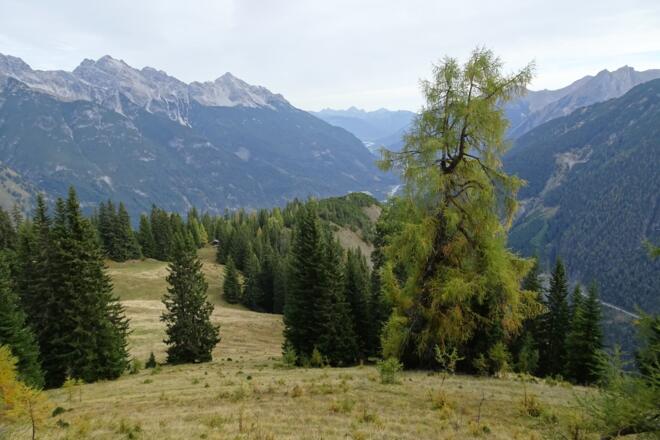 Oberhalb der Hochwaldhütte