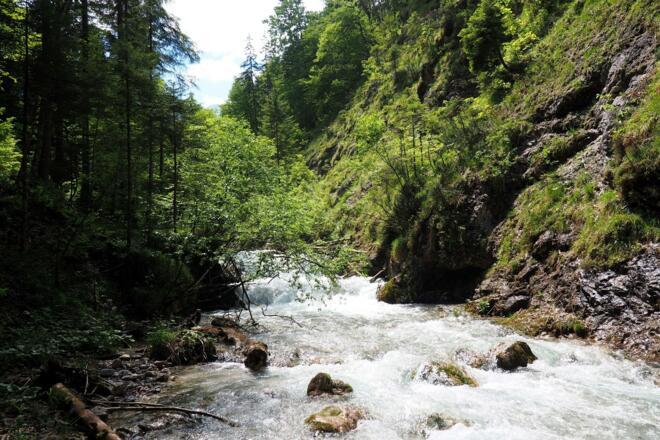 Straneggbach am Weg zum Almtalerhaus