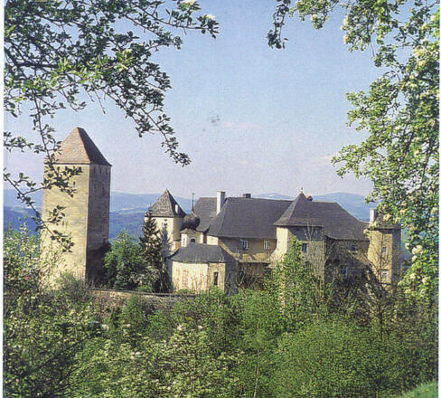 Burg Vichtenstein