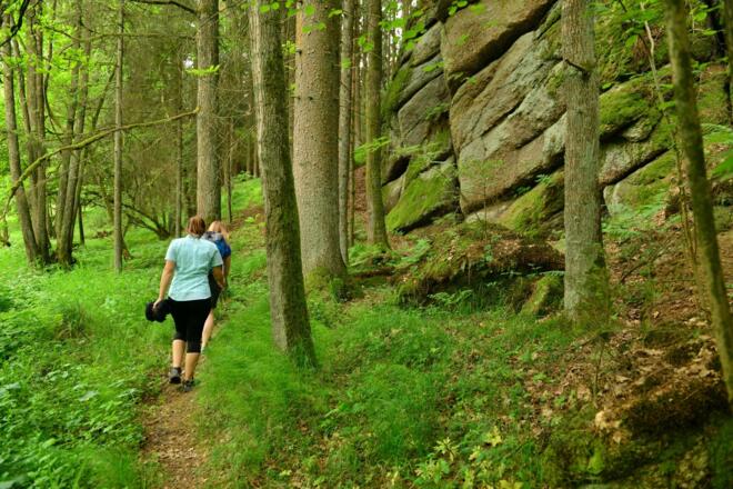 abseits des Weges - auf geheimnisvollen Spuren