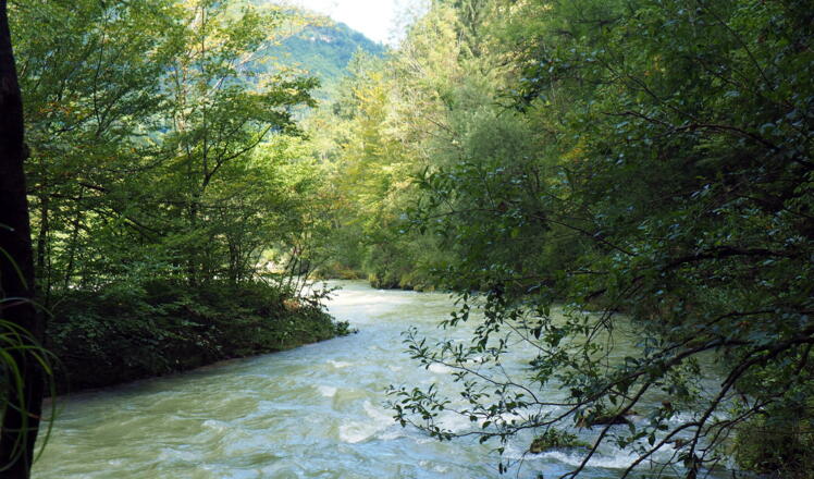 Steyr bei der Rinnenden Mauer