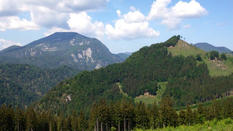 Wolfskopf 1081m mit Größtenberg