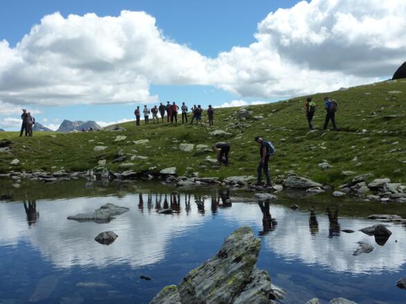 Spiegelung am Oberseitsee