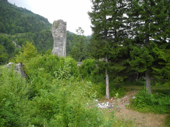 Langsam holt sich die Natur das Areal zurück.