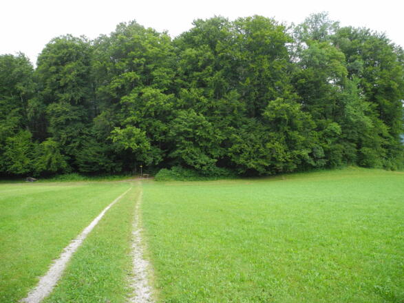 Über eine große Wiese wandern wir den Karstquellen entgegen.