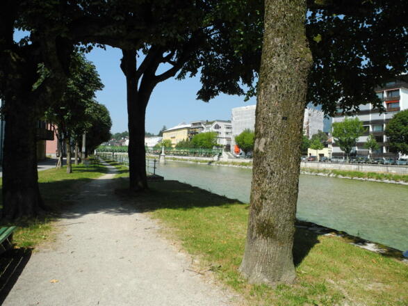 Nach dem Kreuzersteg wandern wir der Traun entlang