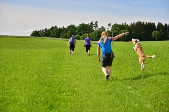 über Feld und Wiese