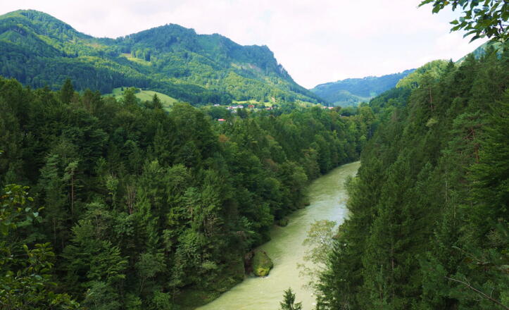 Blick in die Steyrschlucht um 410m