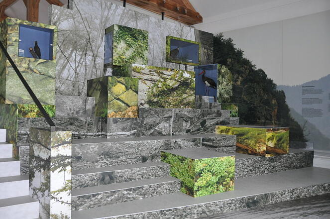 Ausstellung Donau-Geschichten