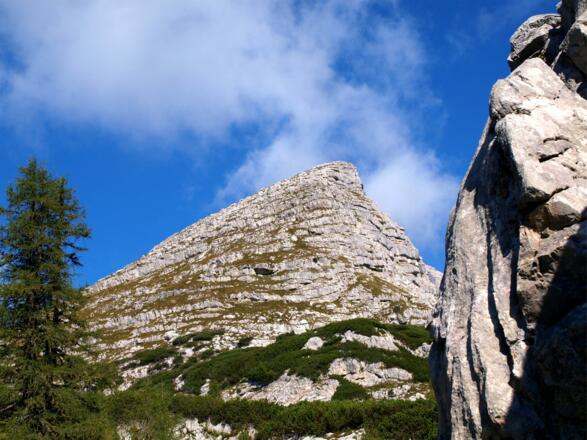 Widerlechnerstein 2110m