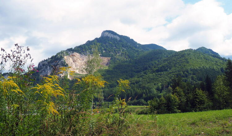 Dürres Eck 1.222m von Westen vor Gradau