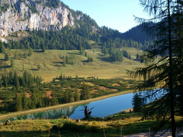 Vor der Standseilbahn 1380m, kleiner Stausee im Teichlgraben.