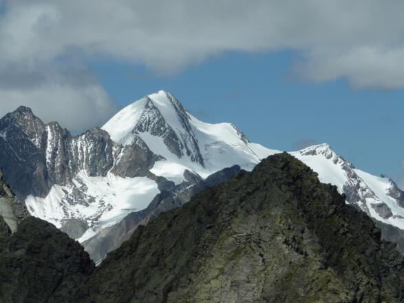 Die Rötspitze in ihrer Pracht