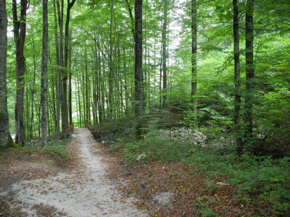 Das Gebiet der Karstquellen