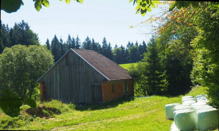 Beim Haus vorbei, über die Lichtung zum Jagastand 890m