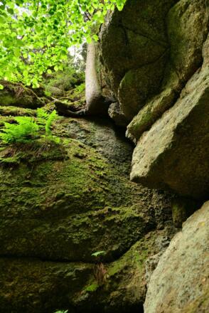 der Stein der unsere Landschaft prägt