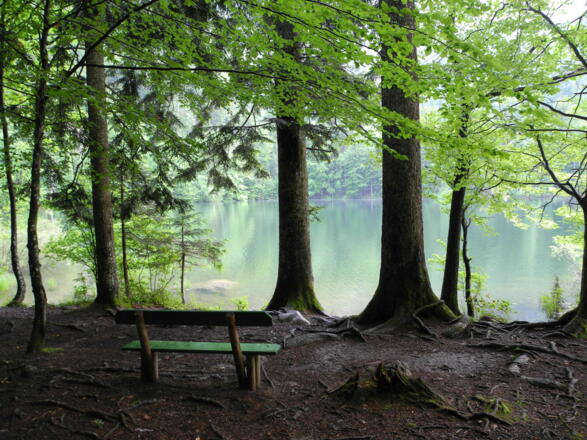 Auch Rastmöglichkeiten gibt es bei der Seeumrundung.