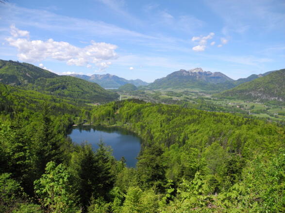 Mitten im Wald am Fuße der Katrin liegt der Nussensee.