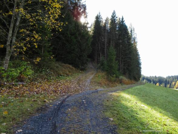 nach Geppenbühel den ansteigenden Ziehweg folgen