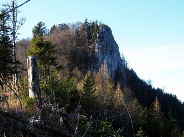 Rückblick Wandlkogel vom Grat ~1140m