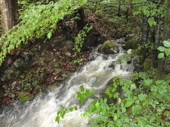 Aus dem Nichts sprudelt ein Bach - Karstquelle