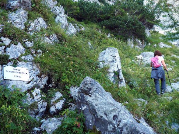 1225m, Franz Scheckenbergersteig