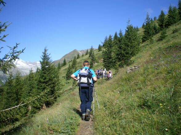 Kurz nach der Abzweigung von der Forststrasse