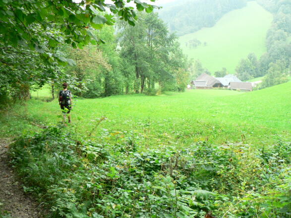 Oberhalb vom Seebacher zieht sich der Weg am Rande einer Wiese zurück zum Parkplatz