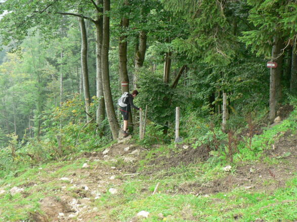 Wir steigen über den Zaun