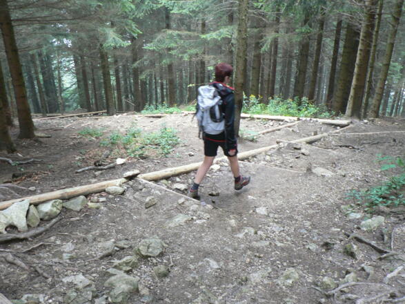 ... über schön gesetzte Stufen...