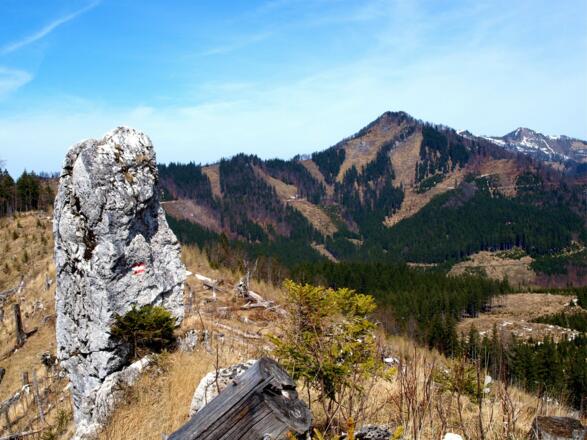 Sackriedel 1216m mit Dürrensteigkamm bis Almkogel