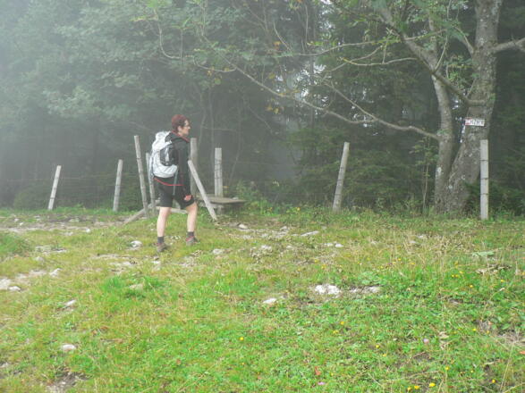 Vom Sulzbodensattel in den Wald zur Grünburger Hütte