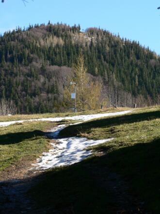 Von der Grünburger Hütte Blick hinauf zum Hochbuchberg