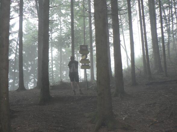 Am Messerer Gscheid (948 m) trennen sich die Wege - wir wählen den rechten