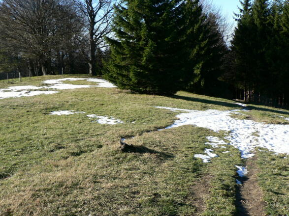 Von der Grünburger Hütte abwärts führt zuerst der Weg Nr. 480 ...