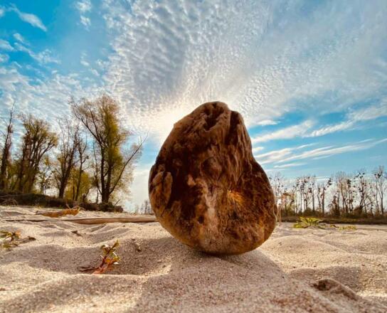 Europareservat Unterer Inn