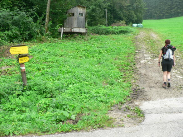 Am Ende der asphaltierten Straße gehen wir ein Stück auf einem Karrenweg...