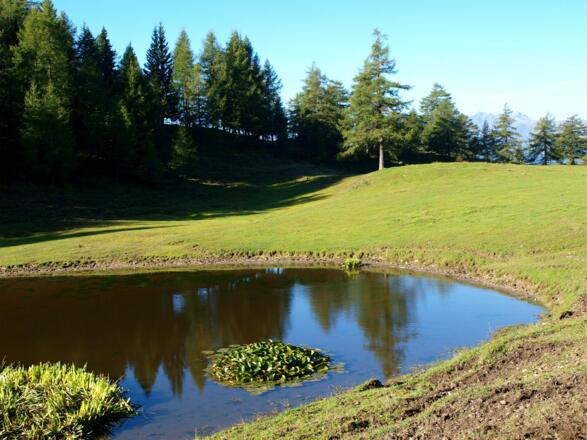 See bei der Magdeburgerhütte 1637m